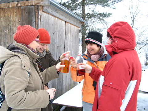 folder silvestr 2010