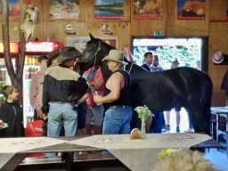 Pánská jízda 2020