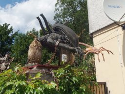 Pánská jízda 2025