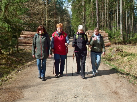 folder na kozi hradek